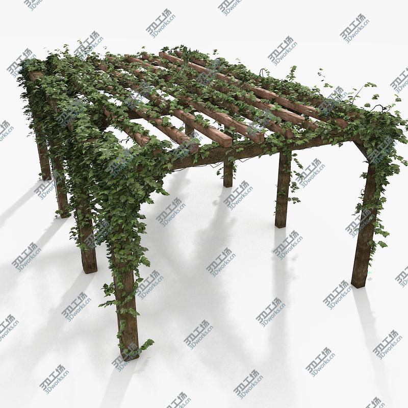 images/goods_img/2021040232/Wooden Pergola With Ivy Plant/1.jpg